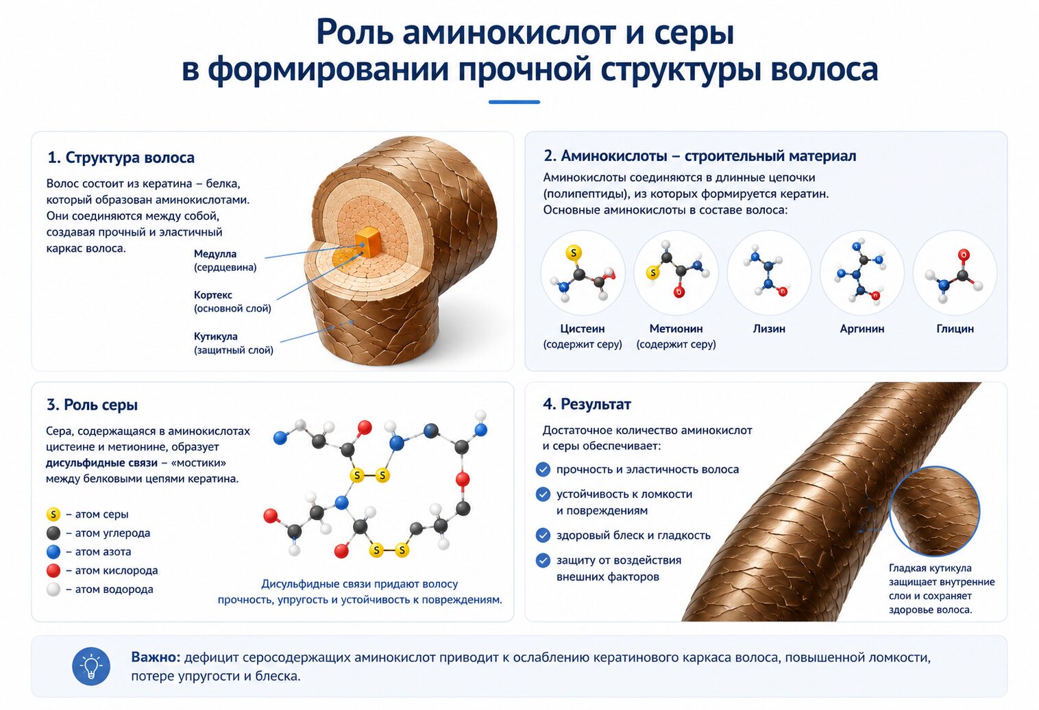 Роль аминокислот и серы в формировании прочной структуры волоса